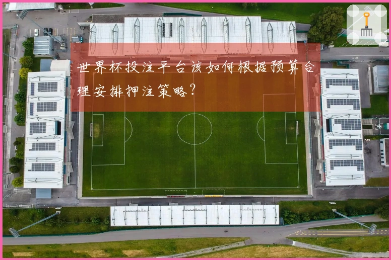 世界杯投注平台该如何根据预算合理安排押注策略？