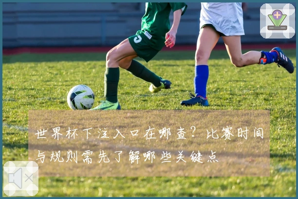 世界杯下注入口在哪查？比赛时间与规则需先了解哪些关键点