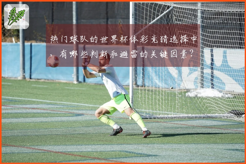 热门球队的世界杯体彩竞猜选择中，有哪些判断和避雷的关键因素？