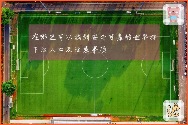 在哪里可以找到安全可靠的世界杯下注入口及注意事项