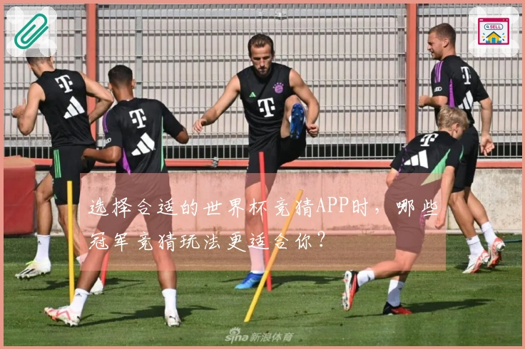选择合适的世界杯竞猜APP时，哪些冠军竞猜玩法更适合你？