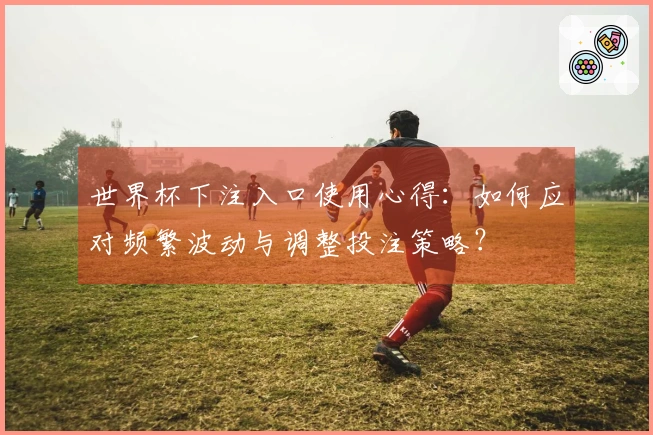 世界杯下注入口使用心得：如何应对频繁波动与调整投注策略？