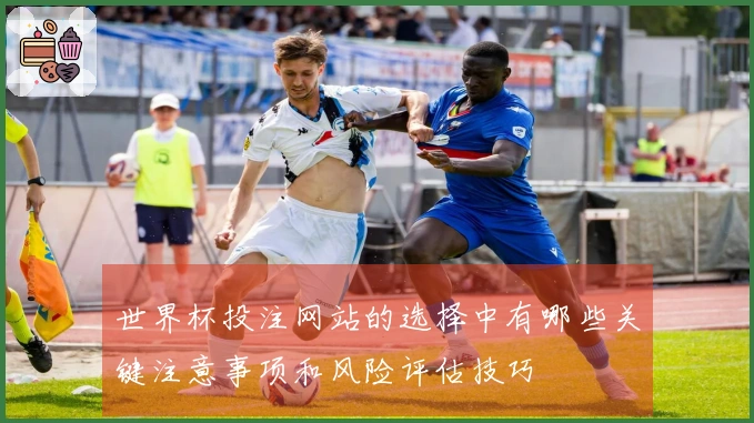 世界杯投注网站的选择中有哪些关键注意事项和风险评估技巧