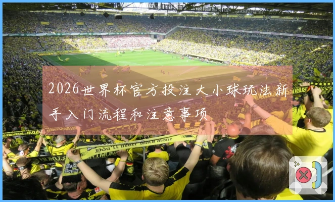 2026世界杯官方投注大小球玩法新手入门流程和注意事项
