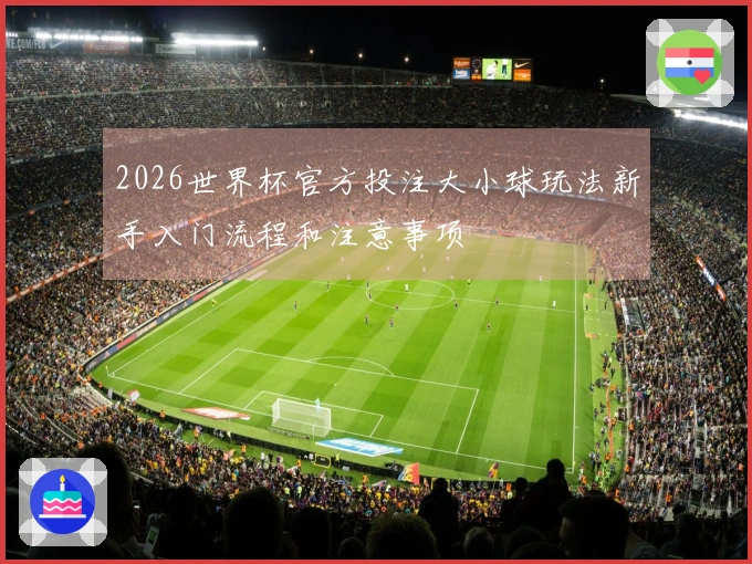 2026世界杯官方投注大小球玩法新手入门流程和注意事项
