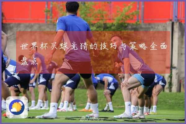 世界杯买球竞猜的技巧与策略全面盘点