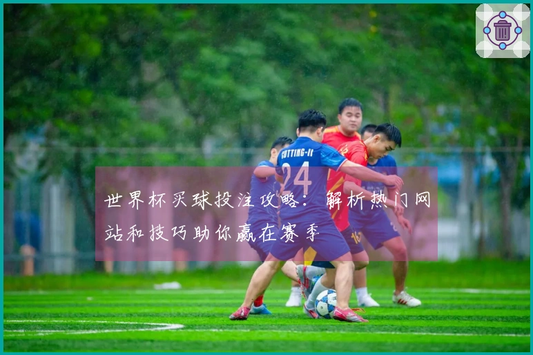 世界杯买球投注攻略：解析热门网站和技巧助你赢在赛季