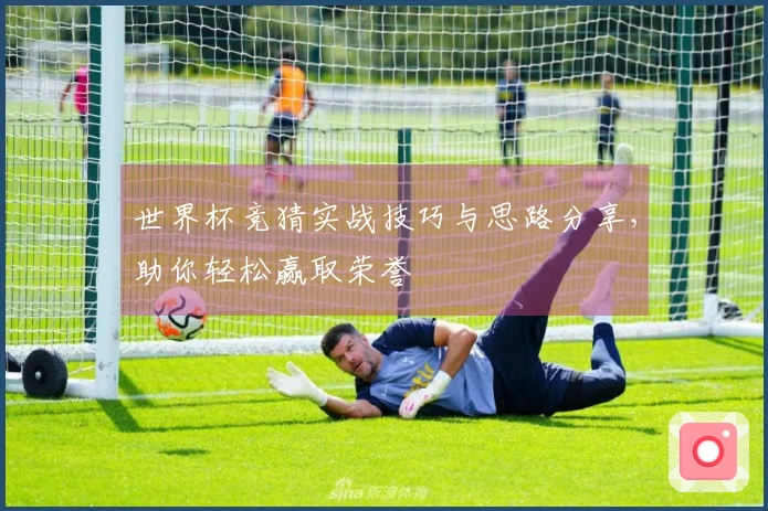 世界杯竞猜实战技巧与思路分享，助你轻松赢取荣誉