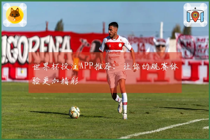 世界杯投注APP推荐：让你的观赛体验更加精彩