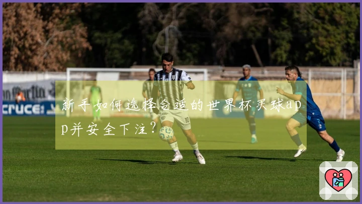 新手如何选择合适的世界杯买球app并安全下注？