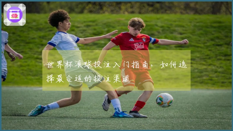 世界杯滚球投注入门指南，如何选择最合适的投注渠道