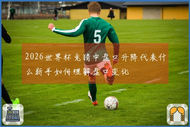 2026世界杯竞猜中盘口升降代表什么新手如何理解盘口变化