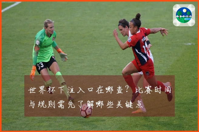 世界杯下注入口在哪查？比赛时间与规则需先了解哪些关键点