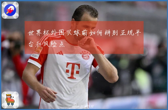 世界杯外围买球前如何辨别正规平台和风险点