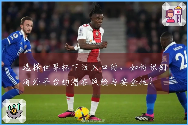 选择世界杯下注入口时，如何识别海外平台的潜在风险与安全性？
