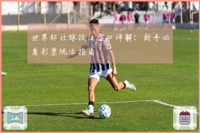 世界杯让球投注盘口详解：新手必看彩票玩法指南