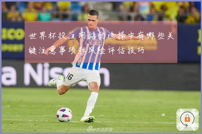 世界杯投注网站的选择中有哪些关键注意事项和风险评估技巧