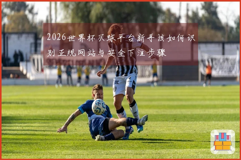 2026世界杯买球平台新手该如何识别正规网站与安全下注步骤