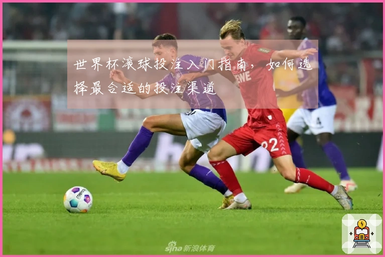 世界杯滚球投注入门指南，如何选择最合适的投注渠道