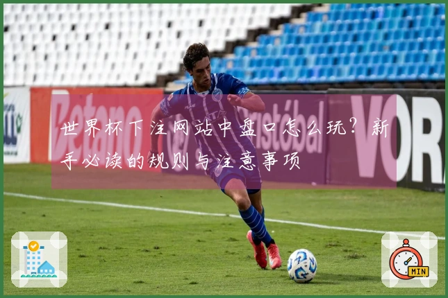 世界杯下注网站中盘口怎么玩？新手必读的规则与注意事项