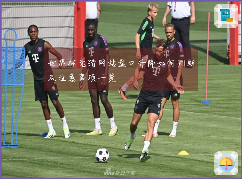 世界杯竞猜网站盘口升降如何判断及注意事项一览