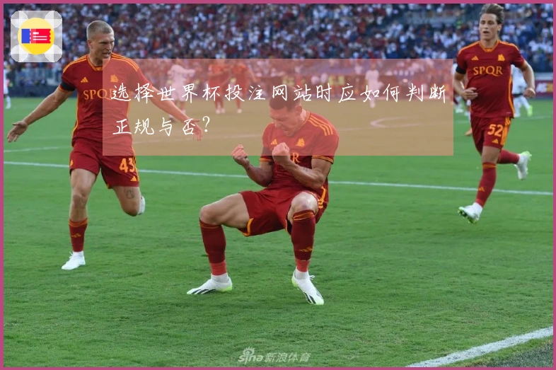 选择世界杯投注网站时应如何判断正规与否？