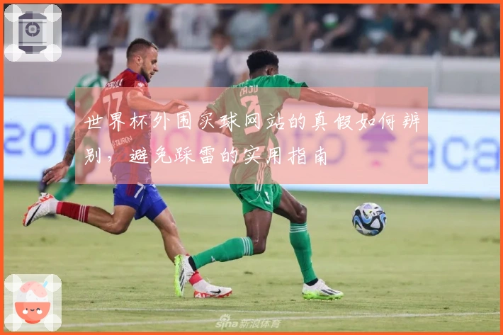 世界杯外围买球网站的真假如何辨别，避免踩雷的实用指南