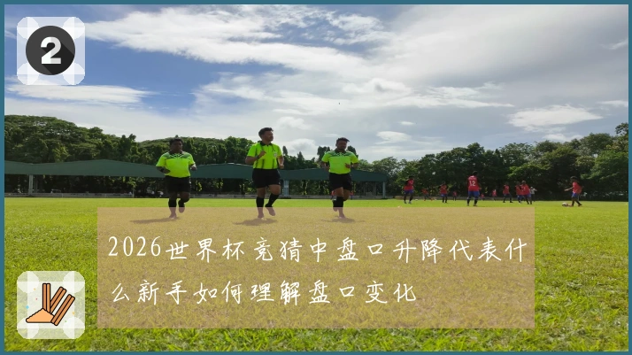 2026世界杯竞猜中盘口升降代表什么新手如何理解盘口变化