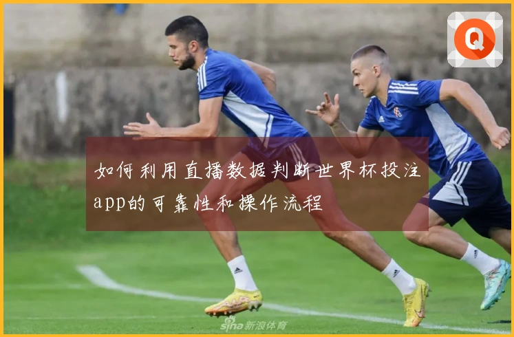 如何利用直播数据判断世界杯投注app的可靠性和操作流程