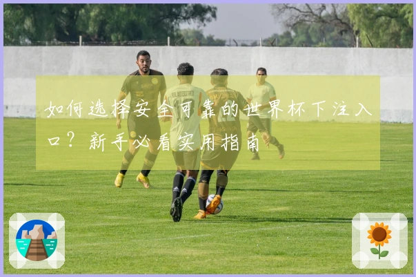 如何选择安全可靠的世界杯下注入口？新手必看实用指南