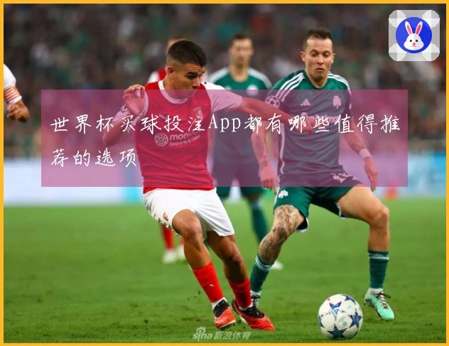 世界杯买球投注App都有哪些值得推荐的选项