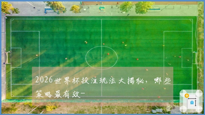 2026世界杯投注玩法大揭秘，哪些策略最有效-