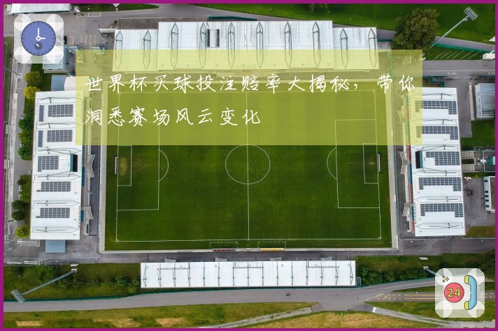 世界杯买球投注赔率大揭秘，带你洞悉赛场风云变化