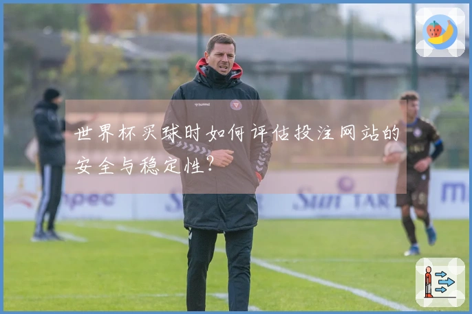 世界杯买球时如何评估投注网站的安全与稳定性？