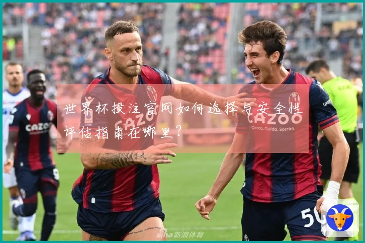 世界杯投注官网如何选择与安全性评估指南在哪里？