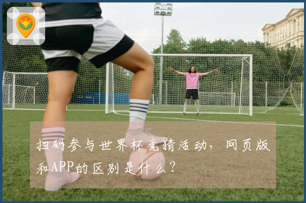 扫码参与世界杯竞猜活动，网页版和APP的区别是什么？