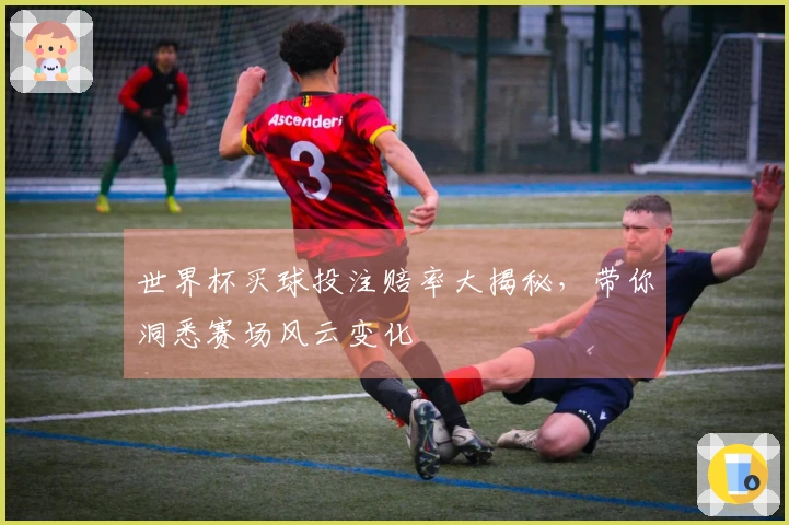 世界杯买球投注赔率大揭秘，带你洞悉赛场风云变化