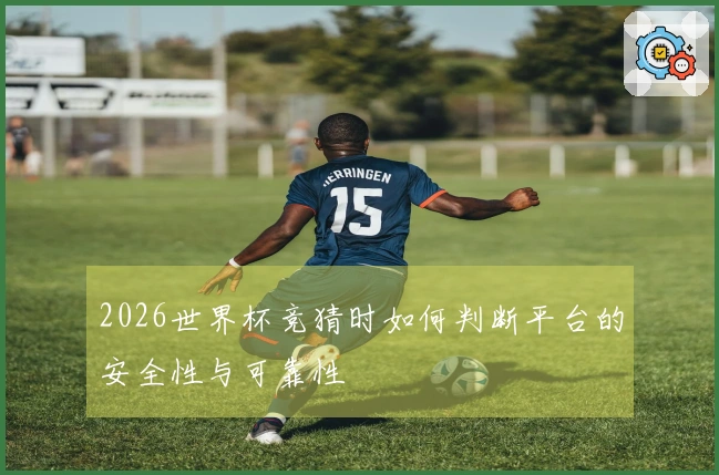 2026世界杯竞猜时如何判断平台的安全性与可靠性