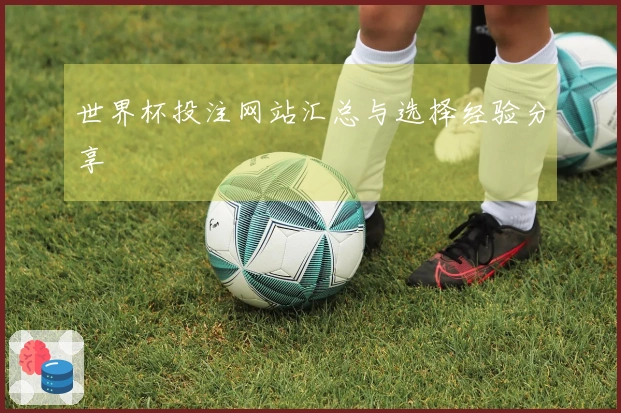 世界杯投注网站汇总与选择经验分享