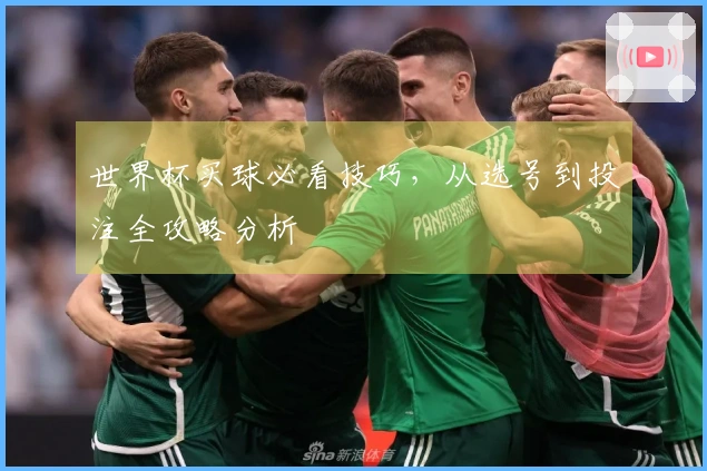 世界杯买球必看技巧，从选号到投注全攻略分析