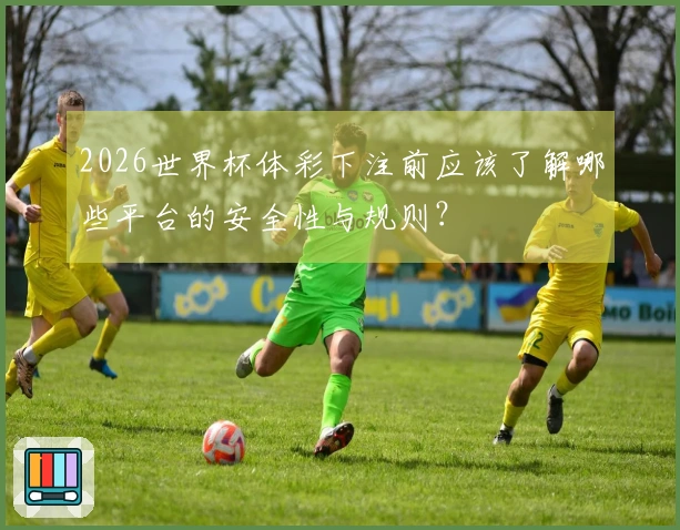 2026世界杯体彩下注前应该了解哪些平台的安全性与规则？