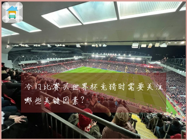 冷门比赛买世界杯竞猜时需要关注哪些关键因素？