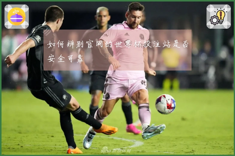 如何辨别官网的世界杯投注站是否安全可靠